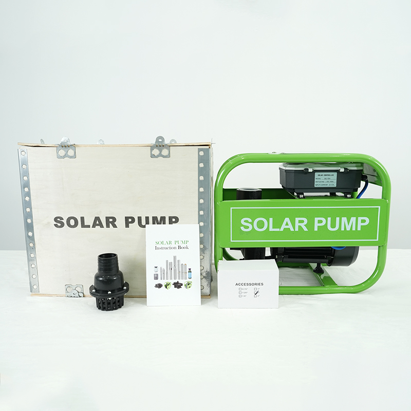 2hp 110V 1500W DC High Lift Hi - Solar Water Pump avis et prix