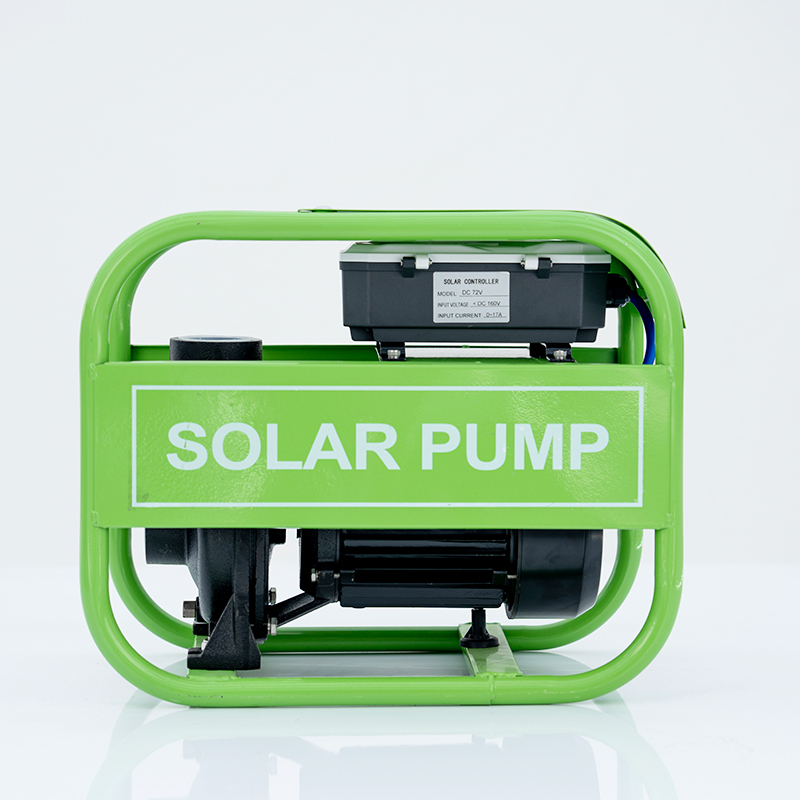 2hp 110V 1500W DC High Lift Hi - Solar Water Pump avis et prix