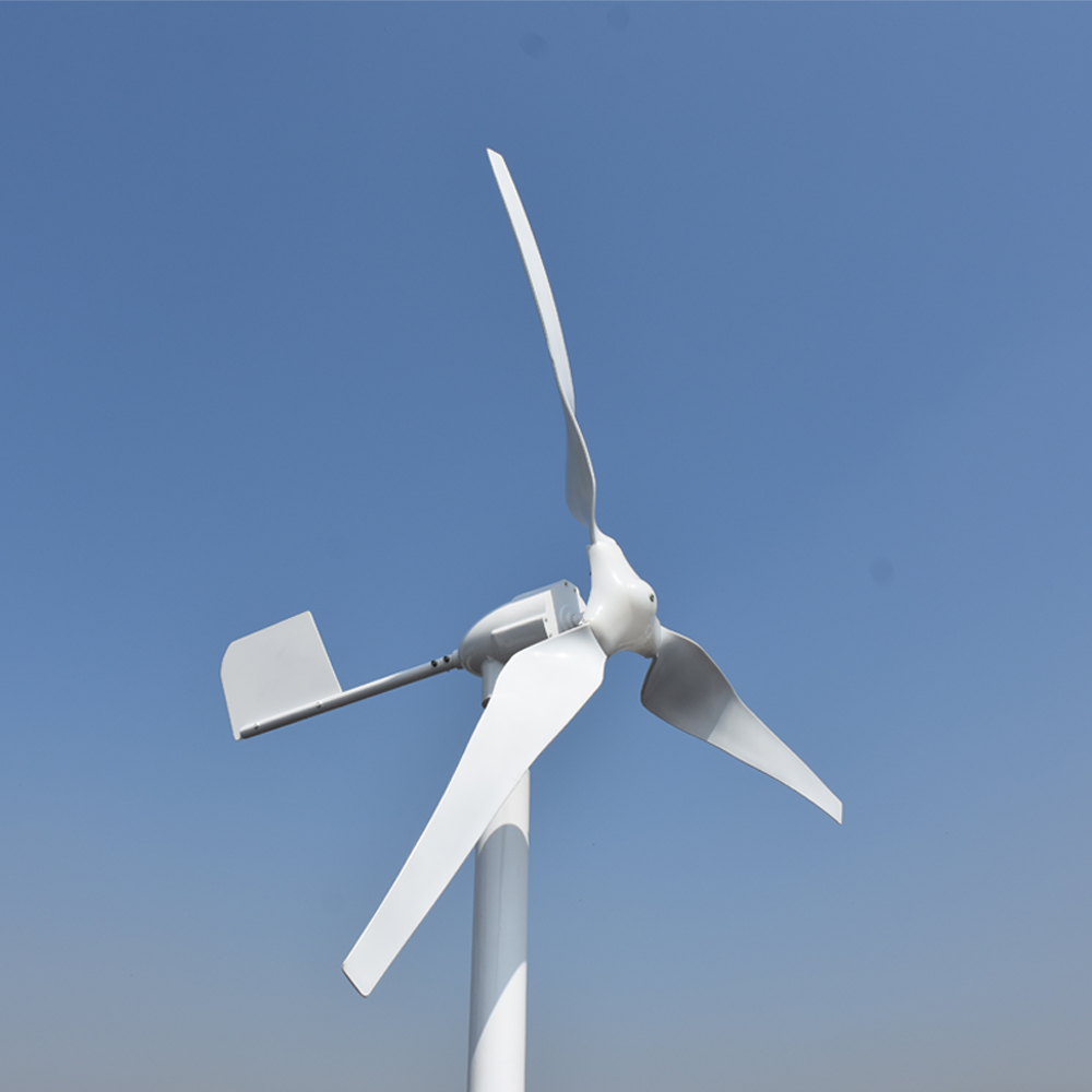 Free Energy Professional Custo - Wind Turbine Generator avis et prix