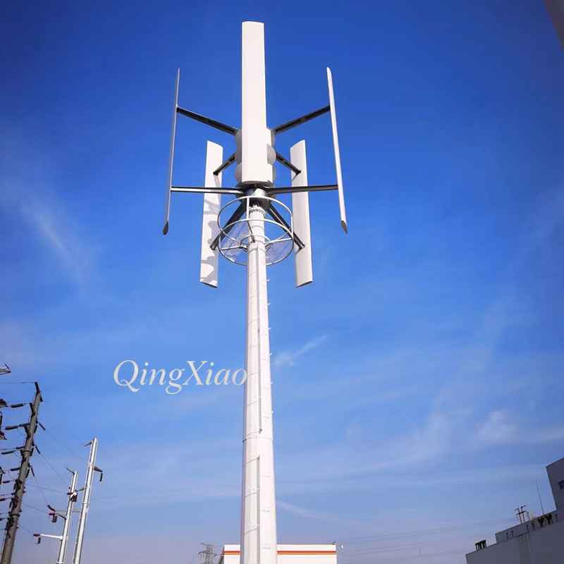 300W 800W Vertical Axis Wind T - Wind Turbine Generator avis et prix