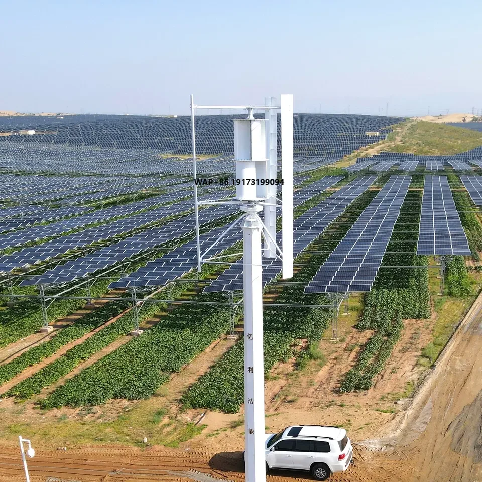China Factory Small Wind Turbi - Wind Turbine Generator avis et prix