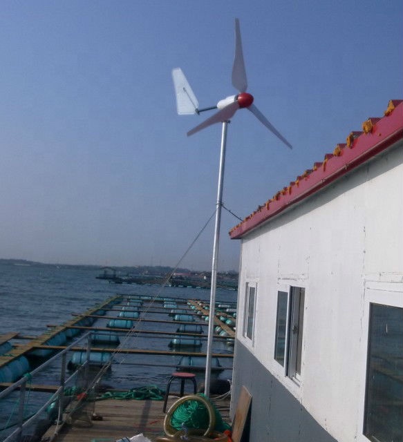 HOT SALE! High Efficiency 12v  - Wind Turbine Generator avis et prix