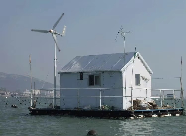 HOT SALE! High Efficiency 12v  - Wind Turbine Generator avis et prix